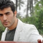 The Role of Entertainment Giants in Cultural Fusion