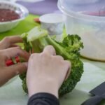 IPL 2026 Is Almost Here: Indian Homes Are Already Living It