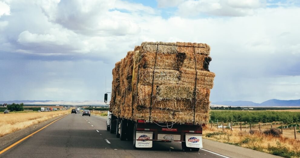 Key Food Commodities Driving Global Deforestation Identified