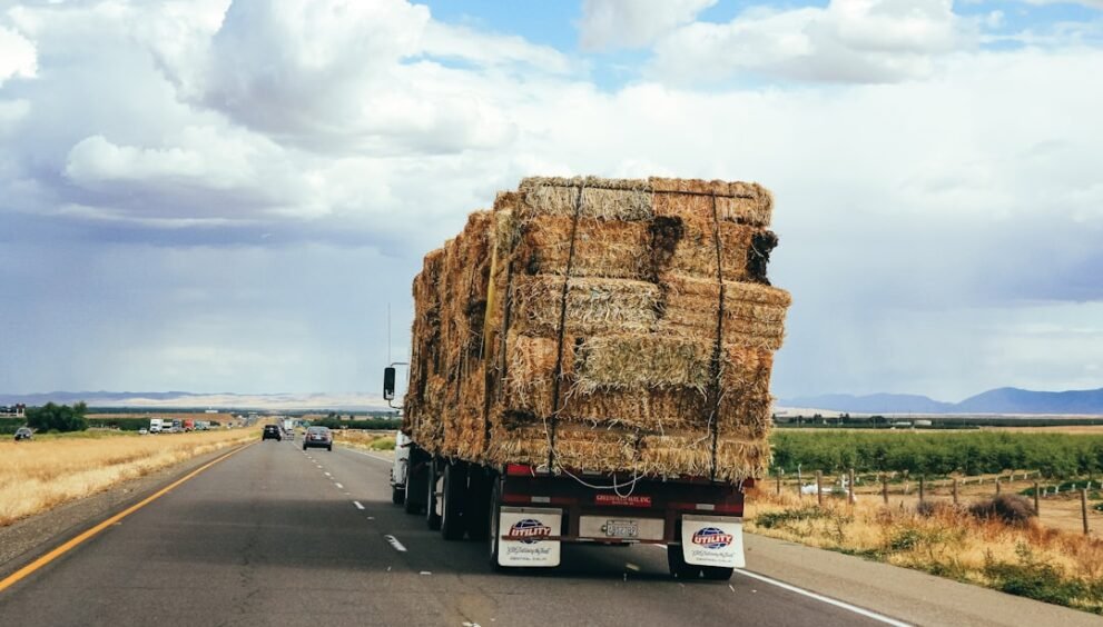 Key Food Commodities Driving Global Deforestation Identified