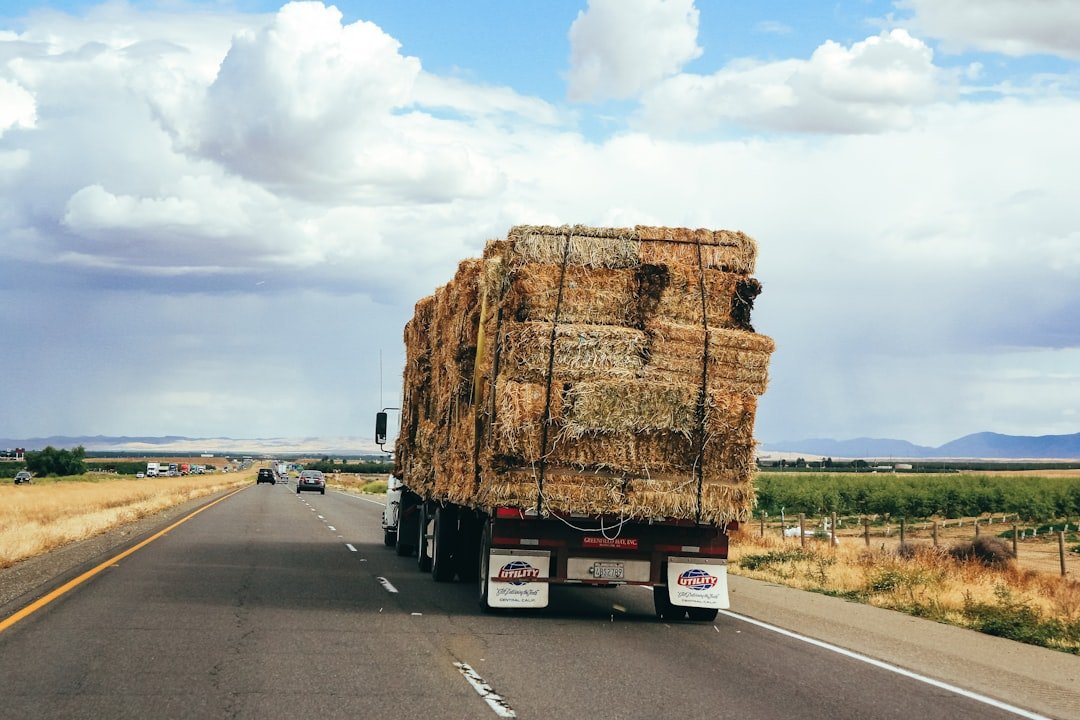 Key Food Commodities Driving Global Deforestation Identified