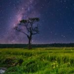 Fort Collins Player Tops Nation in Blocked Shots