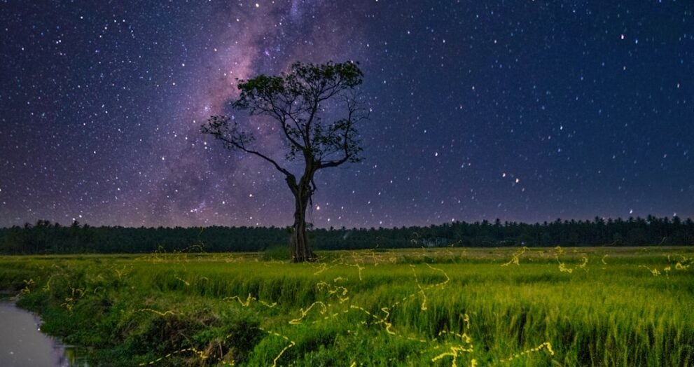 Court Rules on Extraterritorial Reach of DMCA in New Case