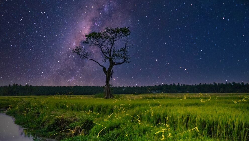 Court Rules on Extraterritorial Reach of DMCA in New Case