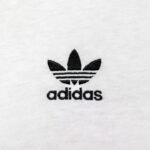 Fylde Fest Set to Return This Weekend with Full Schedule