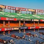 Wedding S Symphony Offers 100 Mini Gold Cake Bases for Events