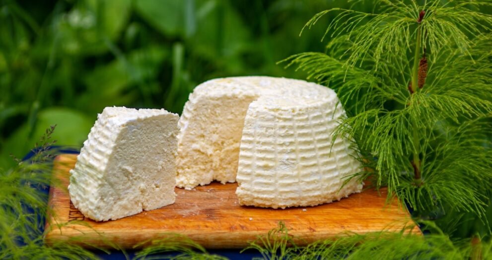 Unlimited Macaroni and Cheese Samples Offered at Wheaton Festival