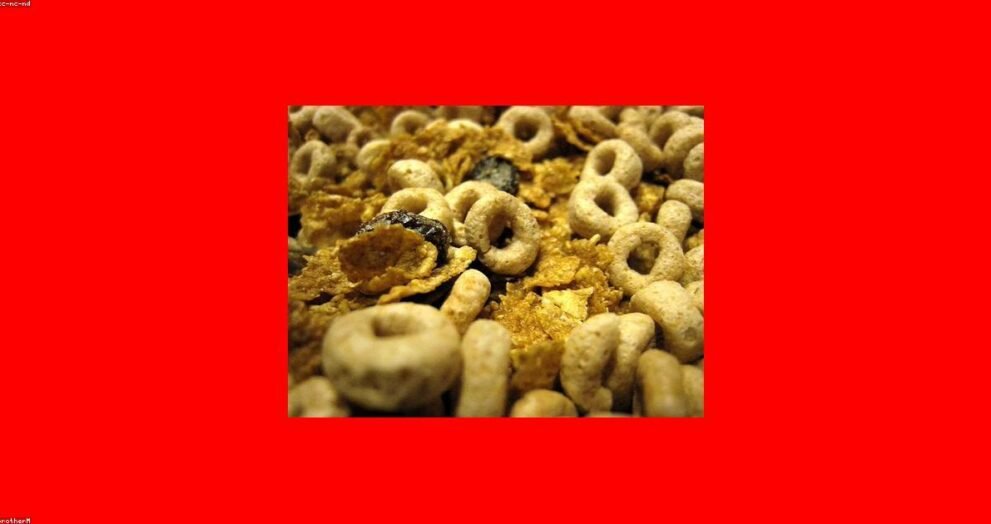 Jimmy and Shivi's Farmhouse Breakfast Returns for Episode 13