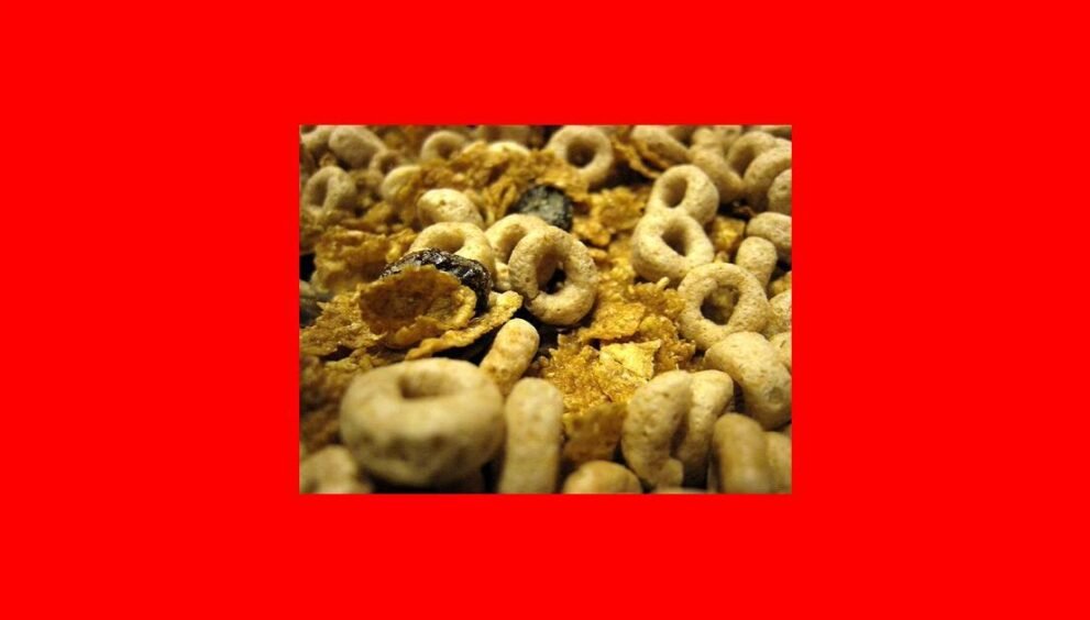 Jimmy and Shivi's Farmhouse Breakfast Returns for Episode 13