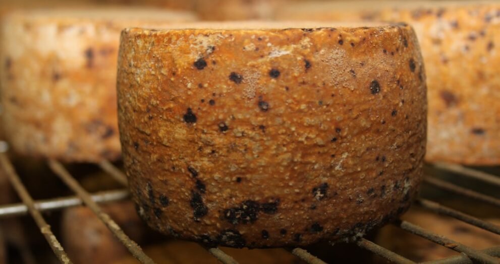 Visitor Becomes Advocate for Scottish Cheese Industry