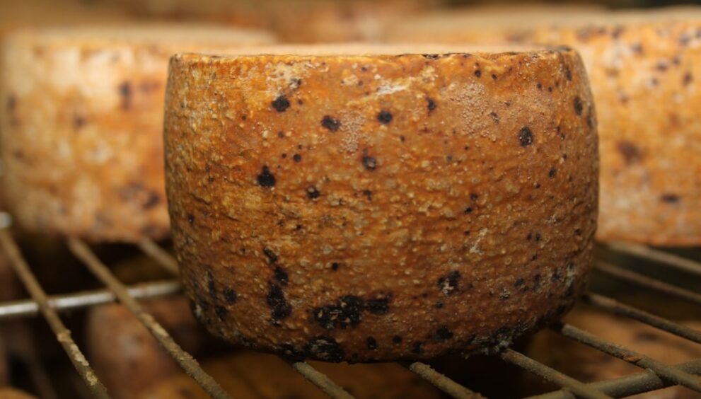 Visitor Becomes Advocate for Scottish Cheese Industry