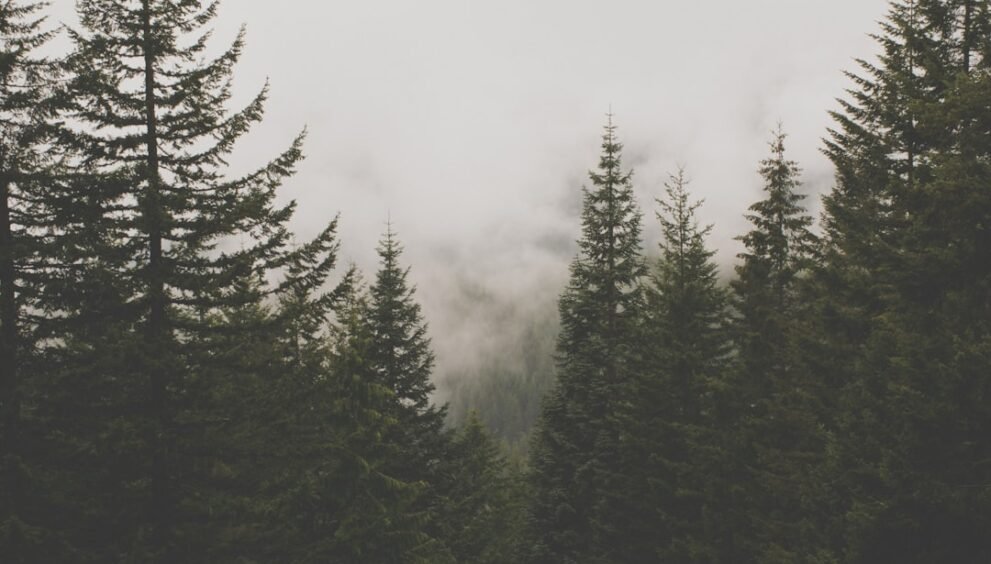 House GOP Proposes $5K Cut to Voucher Expansion Amid Political Debate