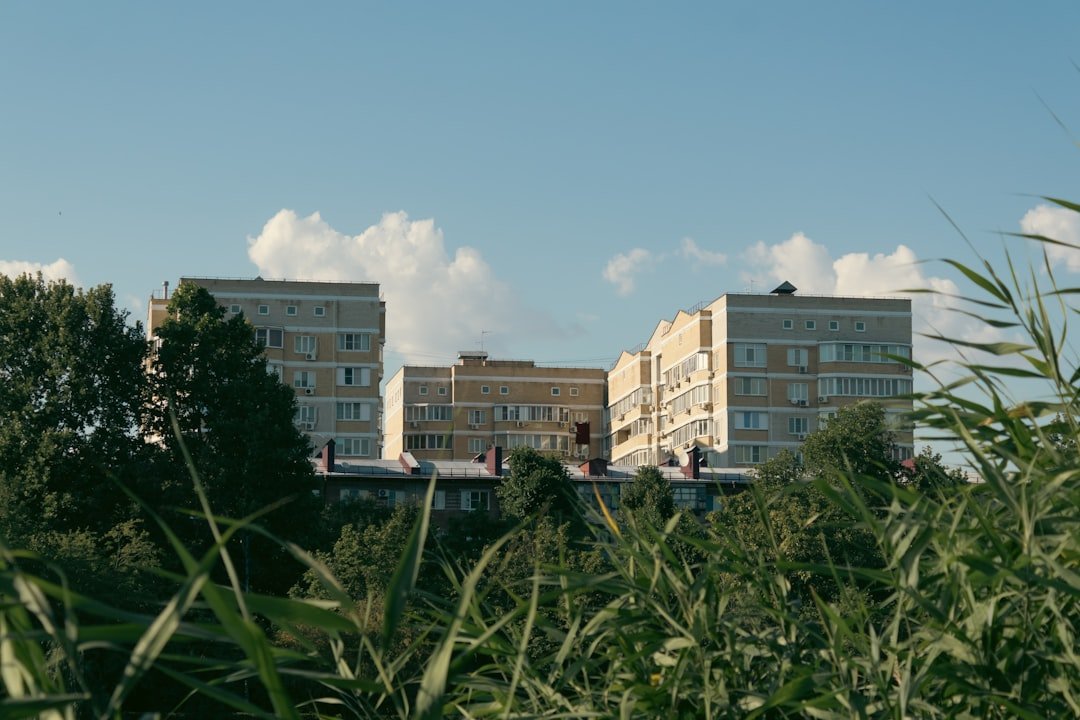 Cabbage Patch Kid Fans Gather in Georgia at Babyland General Hospital