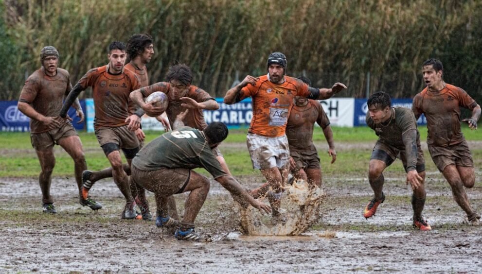 Saracens Hand Sale Sharks a Lesson in Round 16