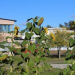 Coach Sydney Carter Prepares for Elite Eight with Fashion Focus