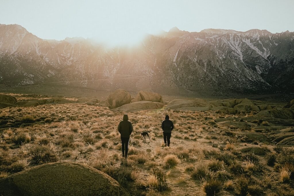 Four Dead in Separate Homicide Investigations in North Country