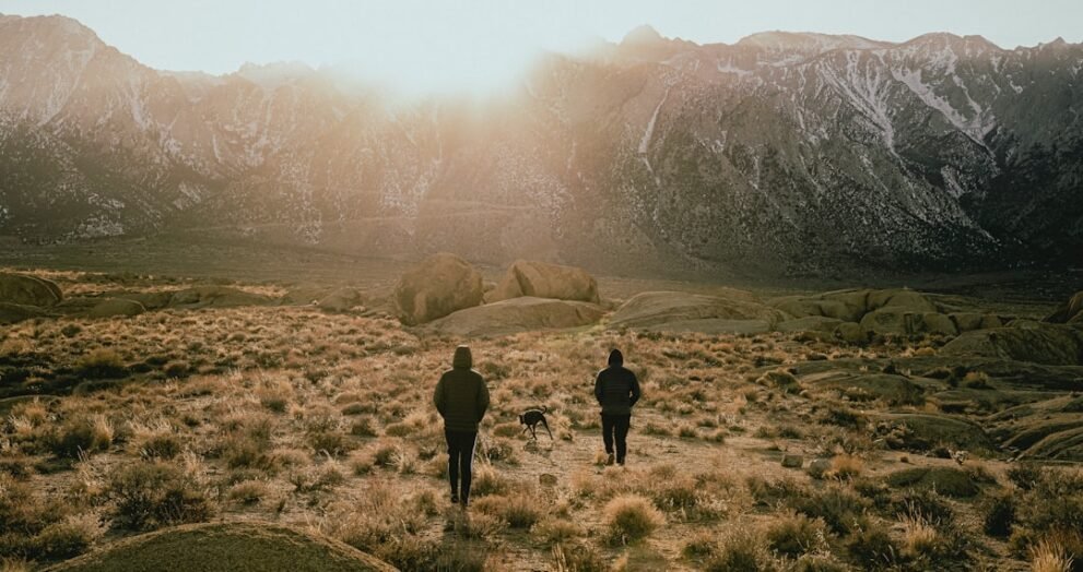 Four Dead in Separate Homicide Investigations in North Country