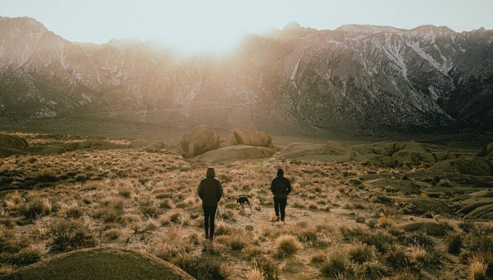 Four Dead in Separate Homicide Investigations in North Country