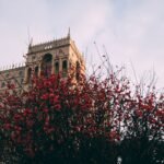 Four Dead in Separate Homicide Investigations in North Country