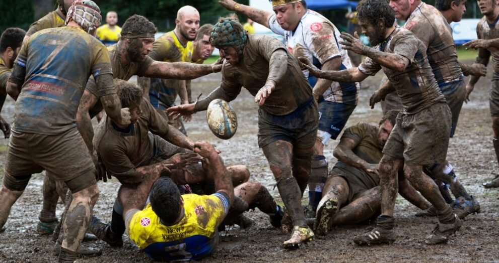 Wallabies to Face Ireland in Canberra Ahead of Rugby World Cup