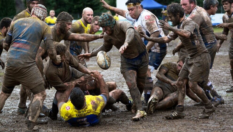 Wallabies to Face Ireland in Canberra Ahead of Rugby World Cup