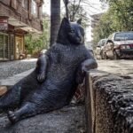 USA Rugby Announces 32 Players for PAC4 Series