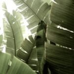 Jersey Disability Football Team Emphasizes Inclusion and Community