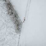 Knute Rockne, Legendary Notre Dame Coach, Dies in Plane Crash