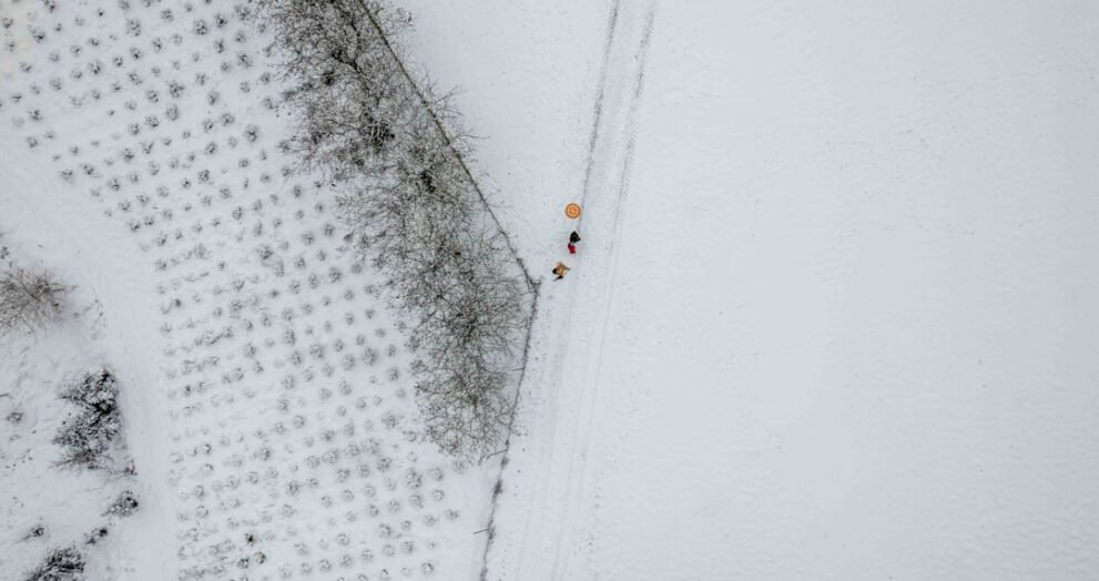 MrBeast Advocates for Simplified Lifestyle Choices