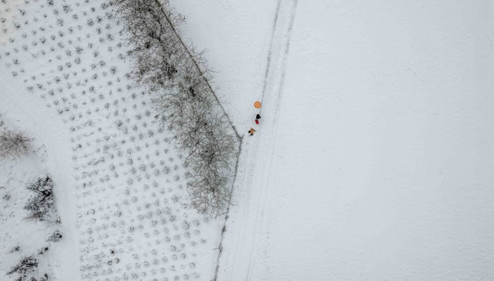 MrBeast Advocates for Simplified Lifestyle Choices