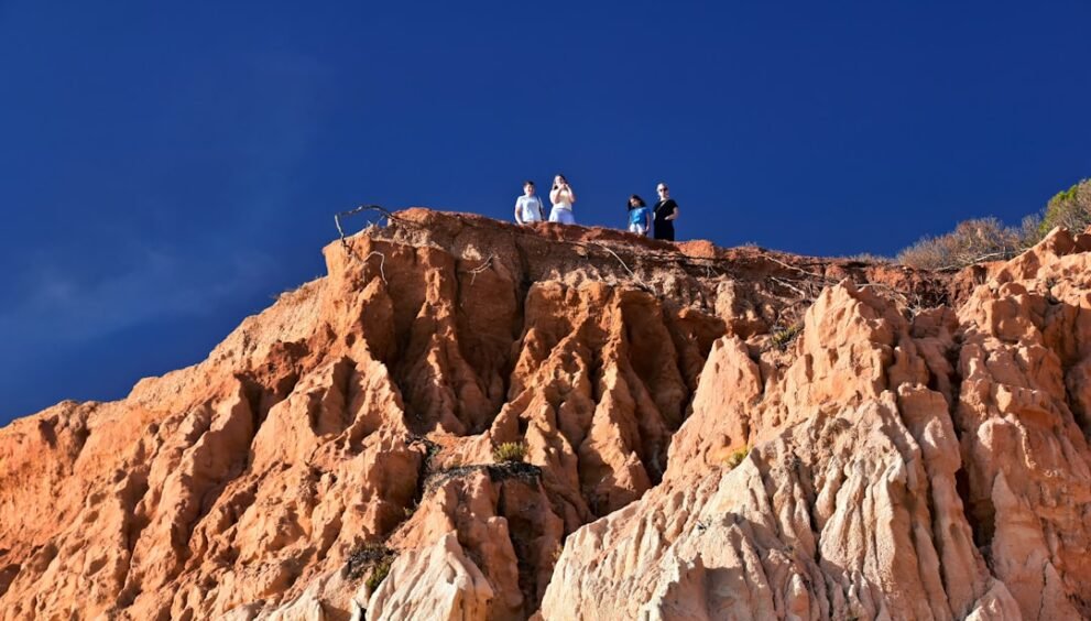 Wake County Deputies Investigate School Break-In