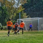 CCN Crypto Lifestyle Index Highlights Usability and Adoption Trends