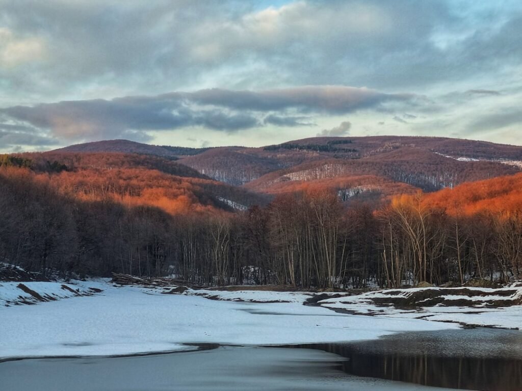 ASA Fashion Show Celebrates African Culture and Creativity