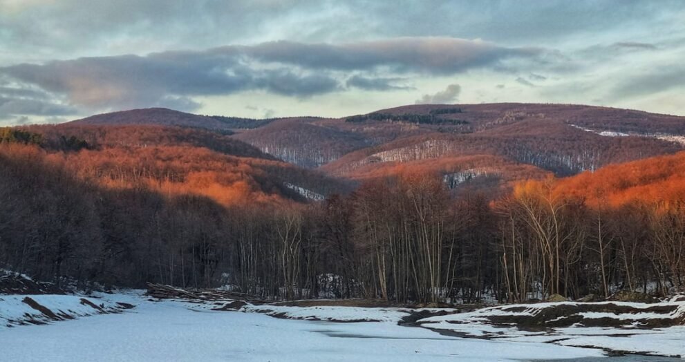 ASA Fashion Show Celebrates African Culture and Creativity