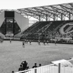 Study Reveals Health Issues in Penguins with Unlimited Food