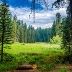 Reviving ’90s Trouser Trends for a 2026 Wardrobe Update