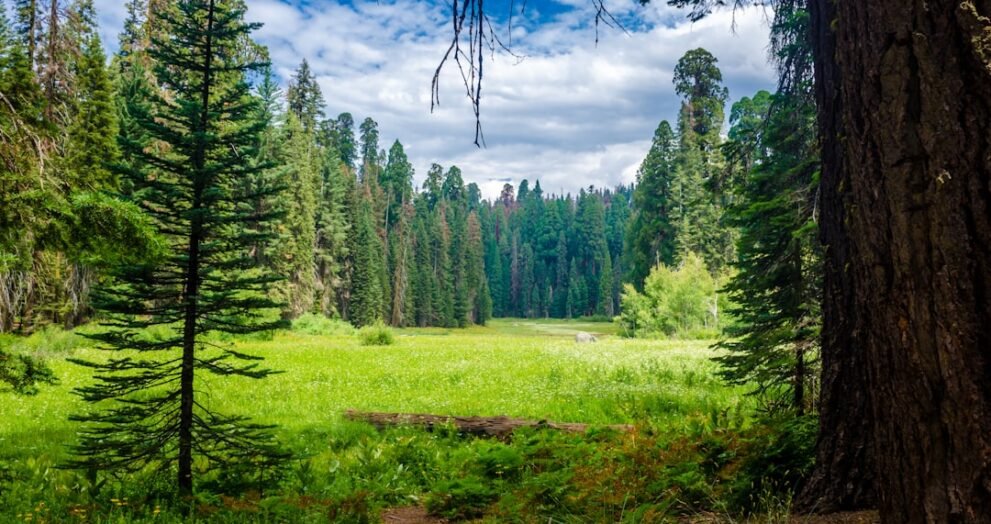 Local Band to Perform 90s Indie Hits in Richmond