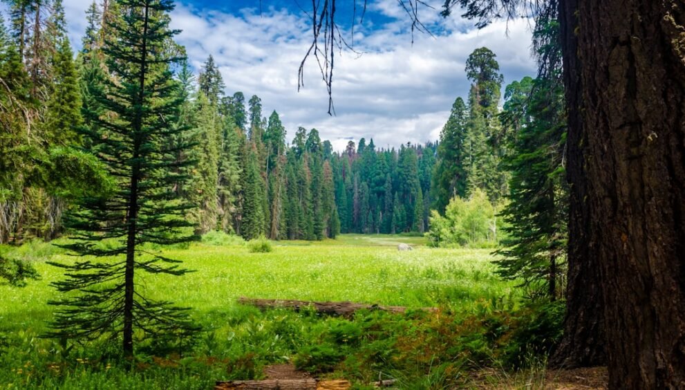 Local Band to Perform 90s Indie Hits in Richmond