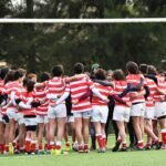 Democrats Aim to Strengthen Liberal Majority on Wisconsin Supreme Court