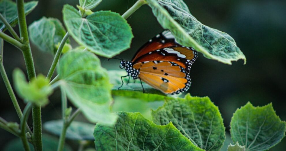 Ultra-Wealthy Spending Habits Unveiled in New Report