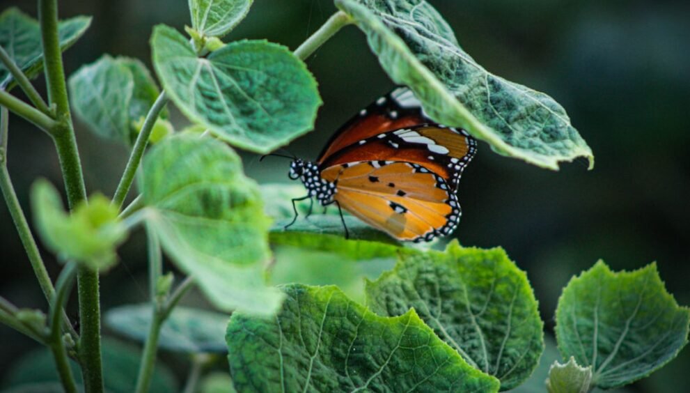 Ultra-Wealthy Spending Habits Unveiled in New Report