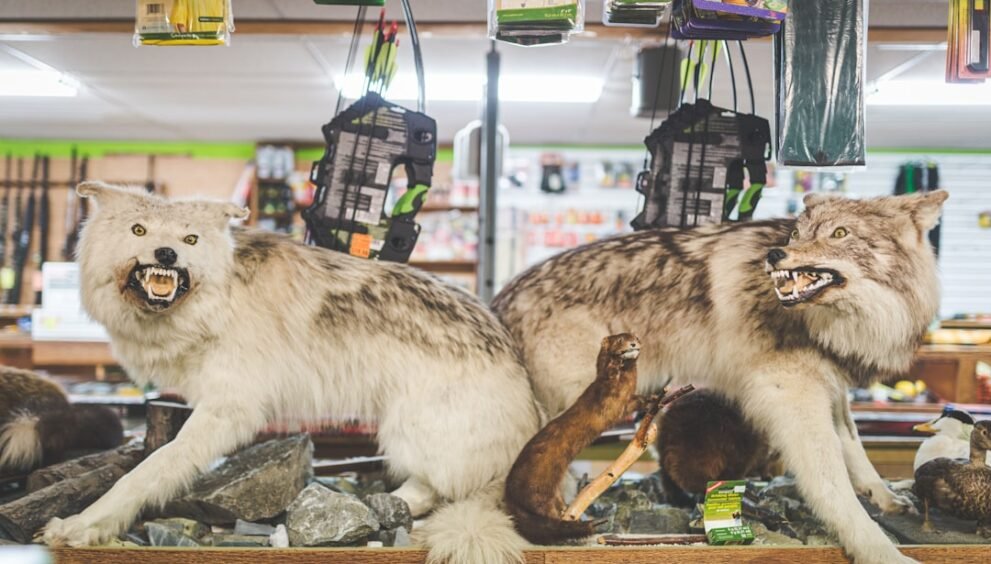 Rockets Suffer Upsetting Loss to Timberwolves in Key Matchup