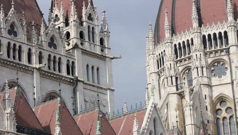 San Francisco Leaders Criticize Trump for Firing Presidio Board