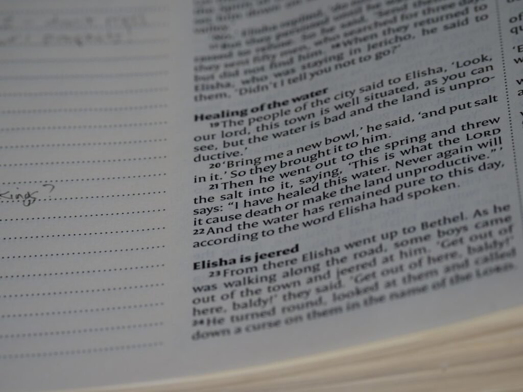 New Clear Acrylic Book Stand Features Butterfly Design