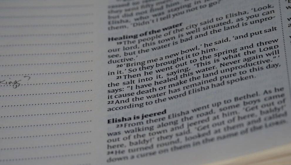 New Clear Acrylic Book Stand Features Butterfly Design