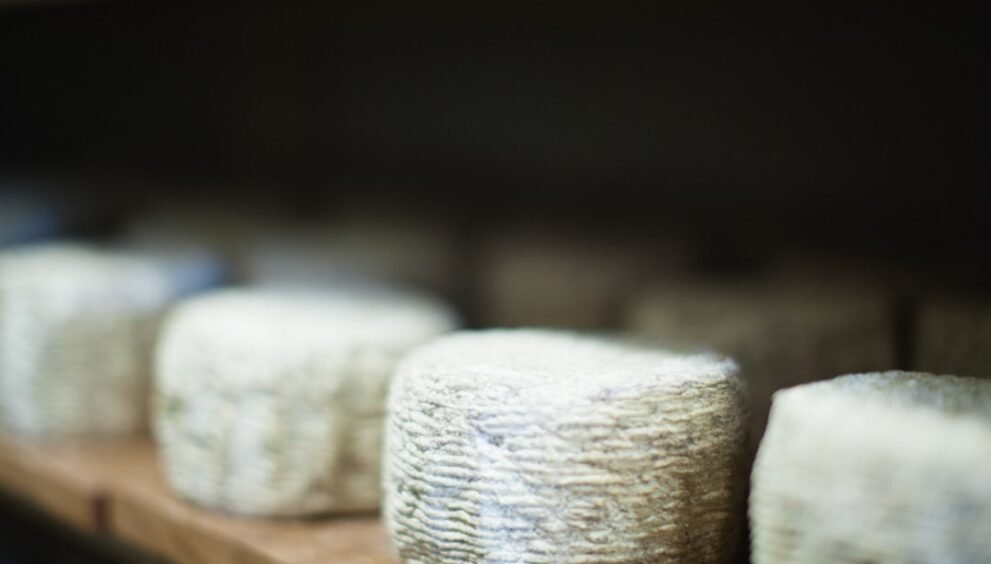 LXHONG Launches New Folding Gymnastics Incline Mat for Kids