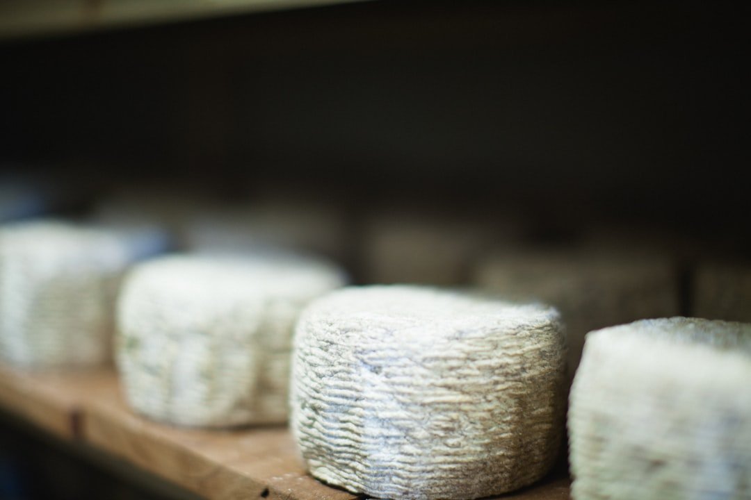 LXHONG Launches New Folding Gymnastics Incline Mat for Kids