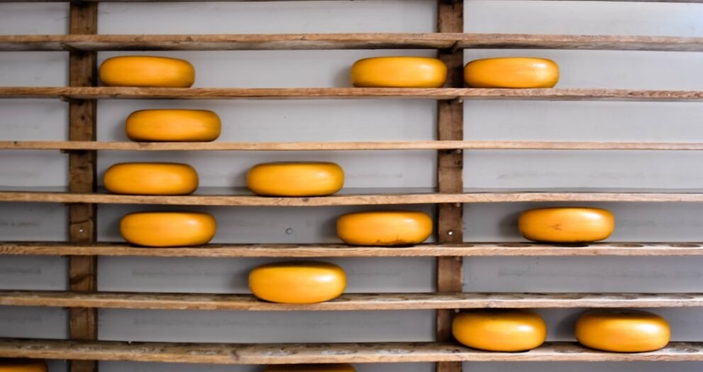 Seven Cheesemakers Named Wisconsin Masters for 2023
