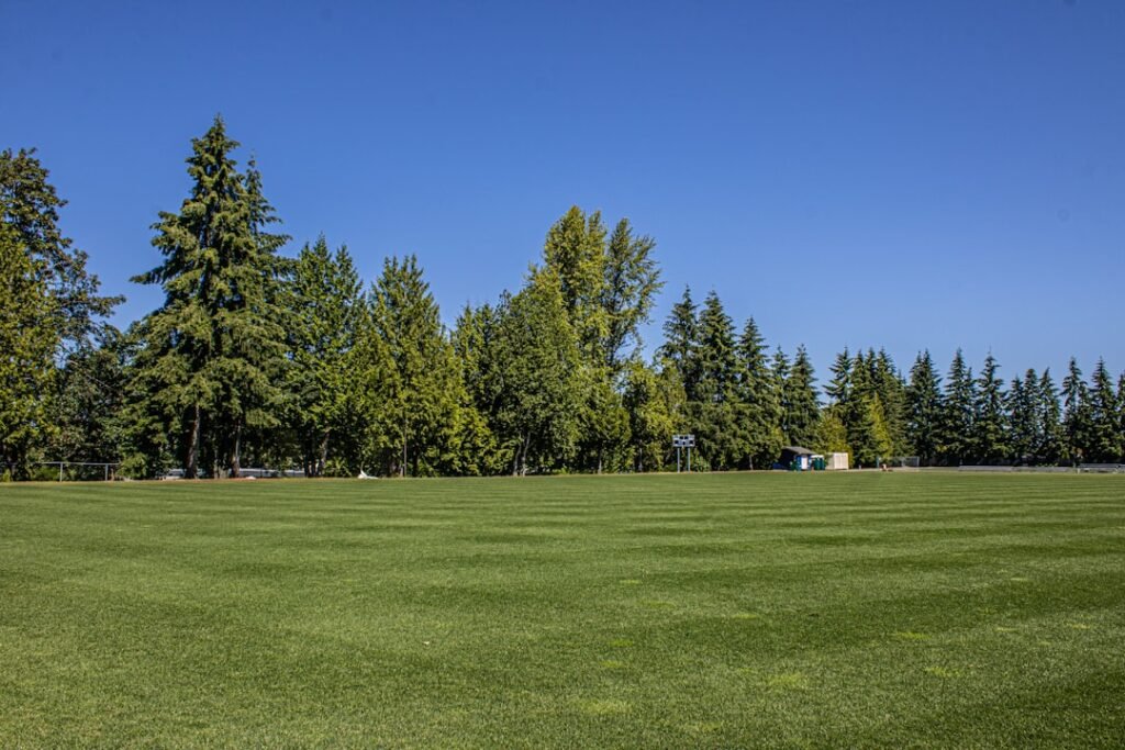 How to Watch Washington Nationals vs Chicago White Sox on April 25