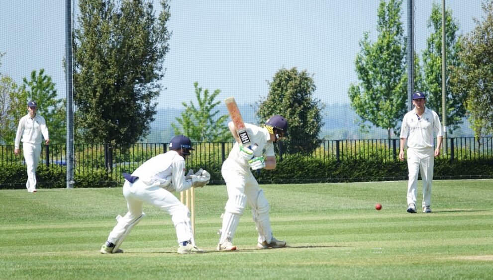 Exciting Moments Captured at the Cricket Tournament in Santa Clarita
